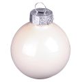 Julgranskulor glasgranskulor Bärmix Ø5cm 24 st Bärrosa beige kräm glänsande | Floristik24.se
