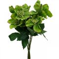 Floristik24 Julros fastelavnsros Hellebore konstgjorda blommor grön L34cm 4st
