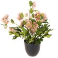 Floristik24 Konstgjord Helleborus krukväxt, julros, för heminredning, 50 cm