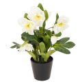 Floristik24 Konstgjord julros, krukblomma, bordsdekoration, 34 cm