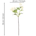 Konstgjord krysantemumblomma, krämvitt knippe, dekorativ gren, stor 56 cm, 4 stycken | Floristik24.se