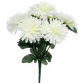 Floristik24 Krysantemum vit med 7 blommor