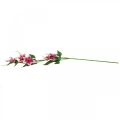 Floristik24 Klematisgren med 5 blommor, konstgjord blomma, dekorativ gren rosa, vit L84cm