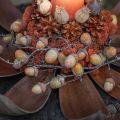 Kokosskal naturliga 60cm 5 st