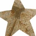 Floristik24 Kokosstjärna natur 10 cm 20st juldekoration med trä stjärnor