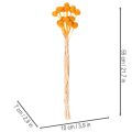 Craspedia torkad blombukett 55 cm 20 st | Floristik24.se