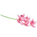 Floristik24 Cymbidium orkidé konstgjord 5 blommor rosa 65cm