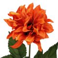 Floristik24 Dahlia Orange 28cm 4st