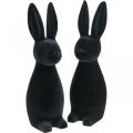 Floristik24 Dekorativ kanin svart dekorativ påskhare flockad H29,5cm 2st