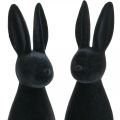 Floristik24 Dekorativ kanin svart dekorativ påskhare flockad H29,5cm 2st