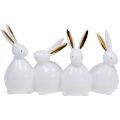 Floristik24 Dekorativa kaniner vita, guld 24cm x 14,5cm x 8,5cm