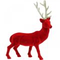Floristik24 Dekorativ hjort dekorativ figur dekorativ renflockad röd H40cm