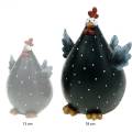 Floristik24 Dekorativ kyckling, vårfigur, påskdekoration, höna, kycklingdekoration 18cm