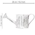 Dekorativ vattenkanna, planteringsburk, vattenkanna för plantering Ø10,5 cm | Floristik24.se