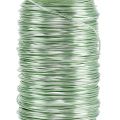 Floristik24 Deco emaljerad tråd mintgrön Ø0,50mm 50m 100g