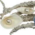 Floristik24 Dekorativ mixskal med pärla och trävit, blå 200g