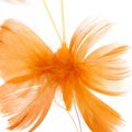 Floristik24 Fjärilar i orange nyanser, vårdekor Fjäderfjärilar på tråd 6st