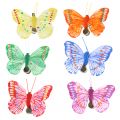 Floristik24 Dekorativa fjärilar på klippet blandade färger 6 cm 24 st
