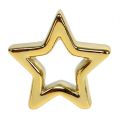 Floristik24 Dekorativ stjärna guld 6,5 cm 6st