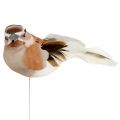 Floristik24 Dekorativ fågel att klibba brun 10 cm 12st