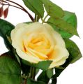 Floristik24 Dekorativ ros i en gul kruka 23 cm