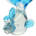Floristik24 Dekorfisk av klart glas, blå 15cm