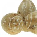Floristik24 Träägg, dekorativa ägg, påskägg av mangoträ 8×5cm 6st