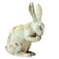 Floristik24 Dekorativa kaniner sitter stående vitguld H12,5x16,5cm 2st