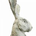 Floristik24 Dekorativ kanin sittande stenlook trädgårdsdekoration H30cm 2st