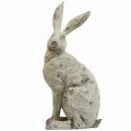 Floristik24 Dekorativ kanin sittande stenlook trädgårdsdekoration H30cm 2st
