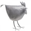 Floristik24 Dekorativ kyckling metalldekor metall fågel zink 51cm×16cm×36cm
