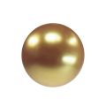 Floristik24 Deco pärlor guld Ø8mm 250p
