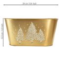 Dekorativ oval skål, julgransformad kruka, guld, 24×13×12,5 cm | Floristik24.se