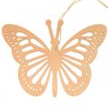 Deco fjärilar deco hängare orange/rosa/gul 12cm 12st
