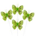 Floristik24 Dekorativa fjärilar grön 8 cm 6st