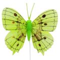 Floristik24 Dekorativa fjärilar grön 8 cm 6st