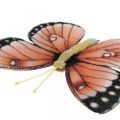 Floristik24 Deco fjärilar med klämma B4,5–11,5cm 10st brun orange