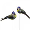 Floristik24 Deco Birds on Wire Spring Deco Blåmes 10×3cm 9st