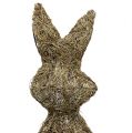 Floristik24 Dekorativ kanin från vinstockar natur 80cm 1 st