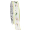 Floristik24 Presentband med Bellis blommönster för hantverk och förpackning, 25 mm x 20 m