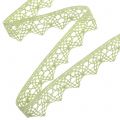 Floristik24 Dekorationsband spets grön 22mm 20m
