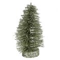 Floristik24 Dekorativa träd glittrade silver, ljusgröna H14cm 4st