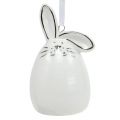 Floristik24 Dekorativ figur kanin att hänga vit, silver 6st