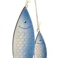 Floristik24 Dekorativ hängare fisk blå vit fjäll 11,5/20 cm set om 2