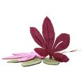 Floristik24 Deco hängare trä höstlöv rosa lila grön 12x10cm 12st