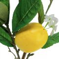 Floristik24 Dekorativ citrongren med blommor och frukter H68cm