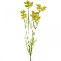 Floristik24 Gul dill konstgjord ört växtdill för dekoration L80cm