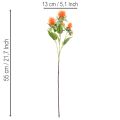 Konstgjord orange safflor som konstgjord blomma för vaser och dekoration, 55 cm, 4 stycken | Floristik24.se