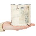 Plåtplanta krämfärgad metall Shabby Chic Ø11cm H10.5cm | Floristik24.se