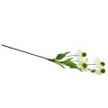Floristik24 Echinacea blomma konstgjord vit 90cm